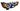 GEN 2 Projector Halo Headlight (Blacked Out) Suitable for Toyota Hilux 2005 - 2011 (Pre-Order) - OZI4X4 PTY LTD