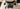 Predator Gen II Bullbar Suits Isuzu Dmax 2012 - 2016 (Pre Order)