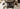 Predator Gen II Bullbar Suits Isuzu Dmax 2012 - 2016 (Pre Order)