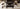Predator Gen II Bullbar Suits Isuzu Dmax 2012 - 2016 (Pre Order)