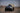 Commercial Bullbar Suits GWM Cannon 2021 + (Arrived)