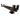 Pair of Canopy Black ladder rack 1400 mm Wide - OZI4X4 PTY LTD