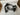 4X4 Upper Control Arm Suitable for Mitsubishi Triton 2006-2020 + Pajero Sport (Pre-Order) - OZI4X4 PTY LTD